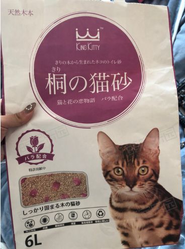 新手养猫注意事项与幼猫到新家经验心得