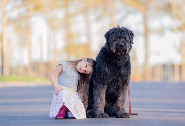 犬瘟热传染人吗