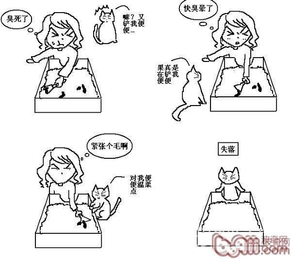 猫咪行为图解:养过猫的都懂 