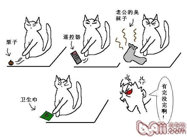 猫咪行为图解:养过猫的都懂 