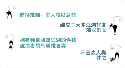 不是每只流浪猫都适合被圈养