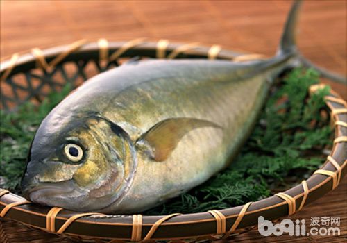 春节与猫咪分享人类食物要当心