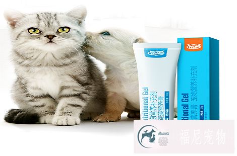 让猫咪发腮，需要多久喂一次WOWO猫咪营养膏？