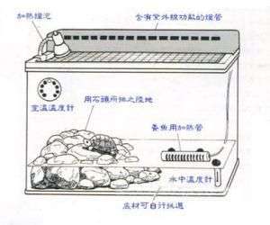 各种龟窝的布置图分享（图）