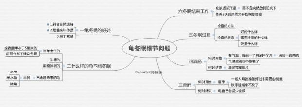 宠物龟冬眠过程中的细节问题