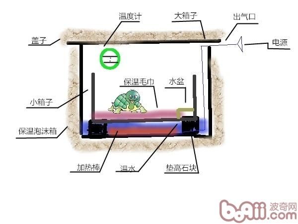 宠物龟加温过冬的几种方法介绍